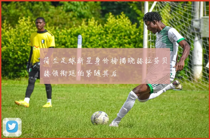 荷兰足球新星身价榜揭晓赫拉芬贝赫领衔廷伯紧随其后